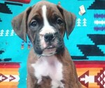 Small #5 Breeder Profile image