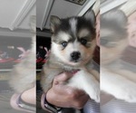 Small #27 Breeder Profile image