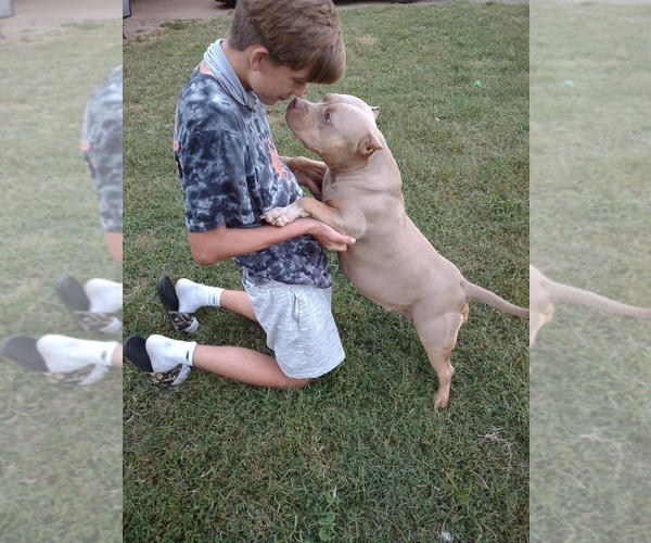 Medium Photo #1  Breeder Profile in OLIN, NC, USA