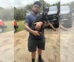 Small #4 Breeder Profile image