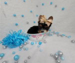 Small #16 Breeder Profile image