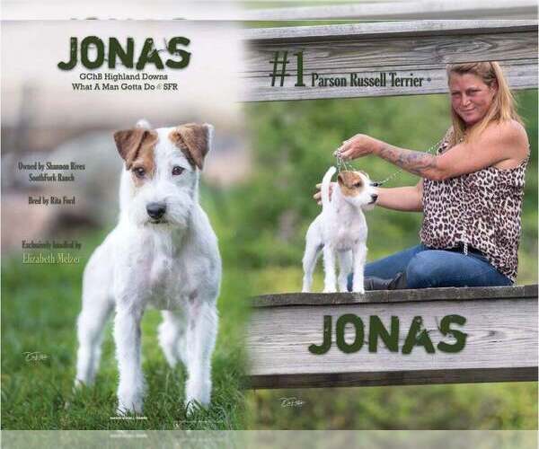 Medium Photo #3  Breeder Profile in PEABODY, KS, USA