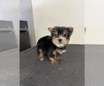 Small #1 Breeder Profile image