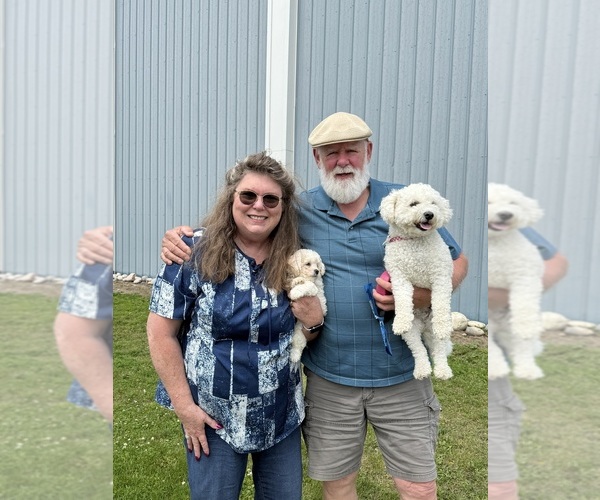 Medium Photo #23  Breeder Profile in PICKFORD, MI, USA