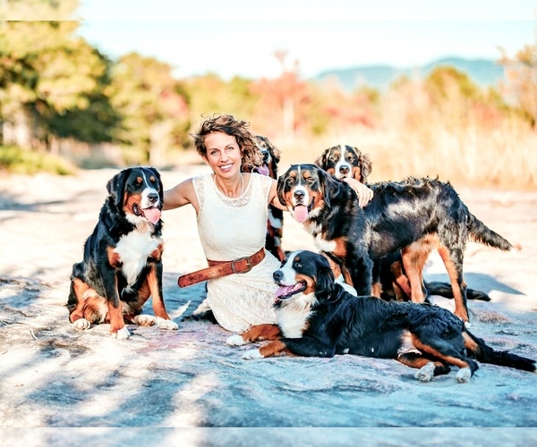 Medium Photo #1  Breeder Profile in TRAVELERS REST, SC, USA