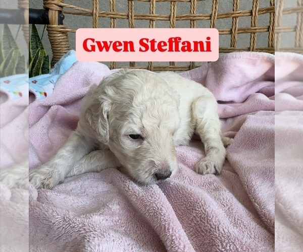 Medium Photo #3  Breeder Profile in TUCSON, AZ, USA