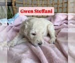 Small #2 Breeder Profile image