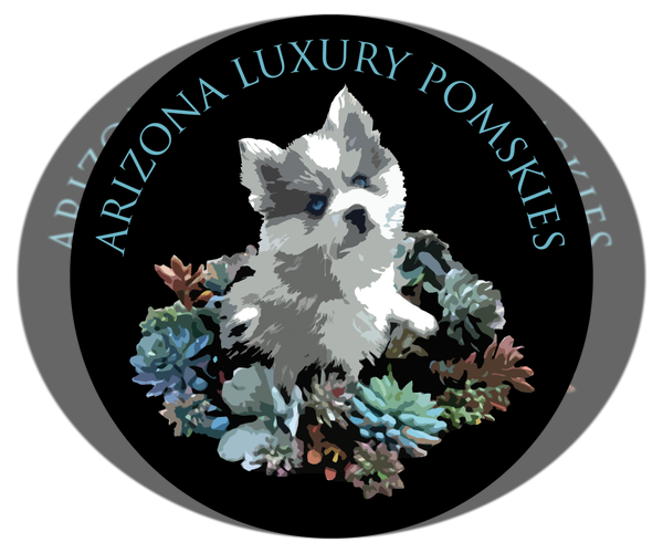 Medium Photo #21  Breeder Profile in CAVE CREEK, AZ, USA