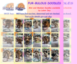Small breeder photo