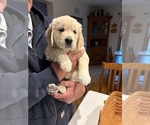 Small breeder photo