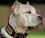 Small #7 Breeder Profile image