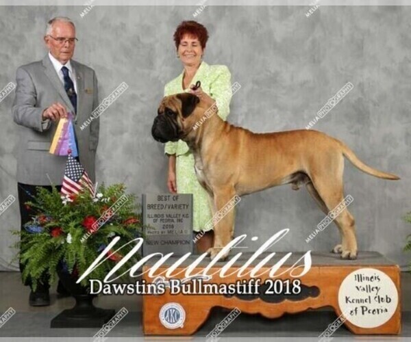 Medium Photo #1  Breeder Profile in MIDDLEBURY, IN, USA