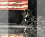 Small #18 Breeder Profile image