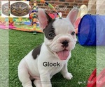 Small #7 Breeder Profile image