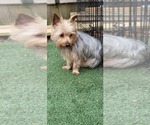 Small #335 Breeder Profile image