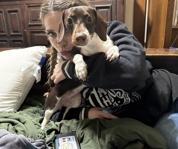 Medium Photo #11  Breeder Profile in COUNCIL GROVE, KS, USA