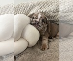 Small #7 Breeder Profile image