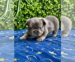 Small #1 Breeder Profile image
