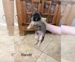 Small #69 Breeder Profile image