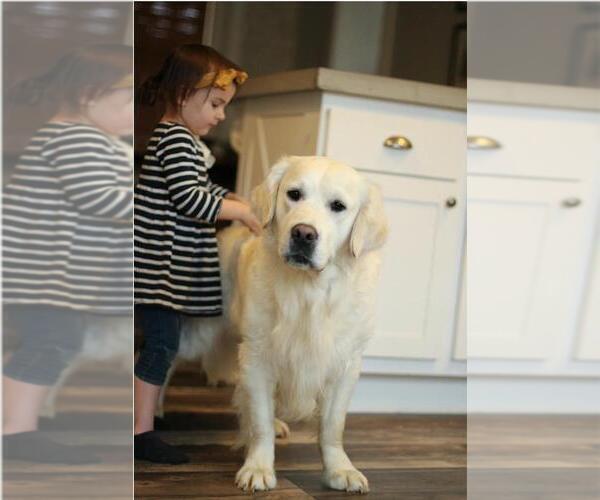 Medium Photo #3  Breeder Profile in BEDFORD, PA, USA