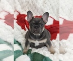 Small #16 Breeder Profile image