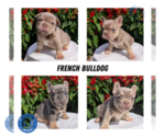 Small #5 Breeder Profile image