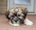 Small #46 Breeder Profile image