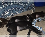Small #7 Breeder Profile image