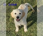 Small #5 Breeder Profile image
