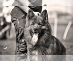 Small #2 Breeder Profile image