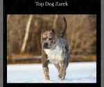 Small Photo #2  Breeder Profile in COON RAPIDS, MN, USA