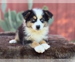 Small #2 Breeder Profile image