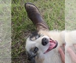Small #5 Breeder Profile image