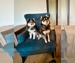 Small #13 Breeder Profile image