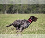 Small #4 Breeder Profile image