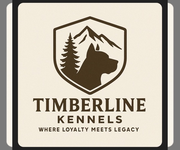 Medium Photo #1  Breeder Profile in PONSFORD, MN, USA