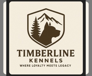 Medium Breeder Profile Photo