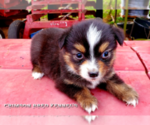 Small #3 Breeder Profile image