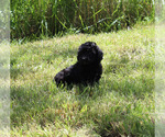 Small #78 Breeder Profile image