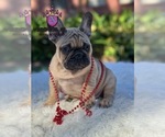 Small #3 Breeder Profile image