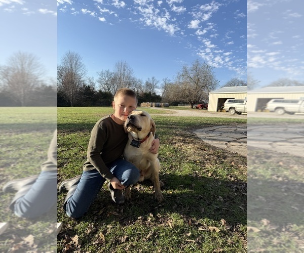 Medium Photo #1  Breeder Profile in KINGDOM CITY, MO, USA