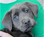 Small #19 Breeder Profile image