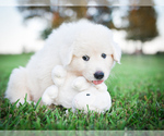 Small #24 Breeder Profile image