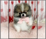 Small #14 Breeder Profile image