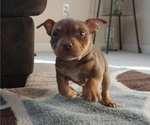 Small #5 Breeder Profile image