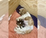 Small #1 Breeder Profile image