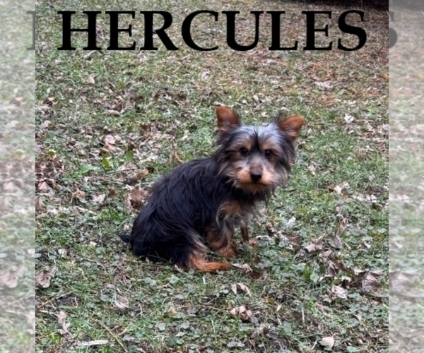 Medium Photo #2  Breeder Profile in HARTLAND, MN, USA