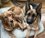 Small breeder photo