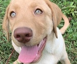 Small #1 Breeder Profile image