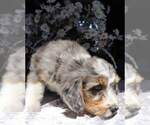 Small #5 Breeder Profile image